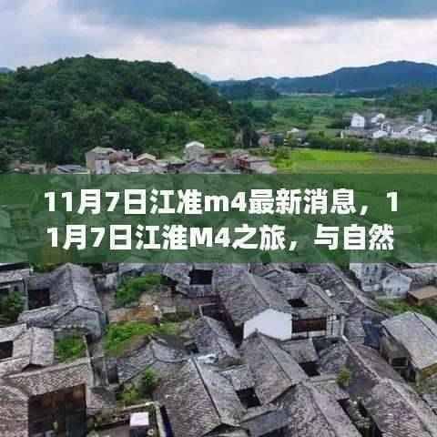 第2491页