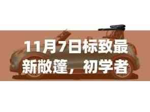 初学者与进阶用户必看,11月7日标致最新敞篷购车指南与全攻略