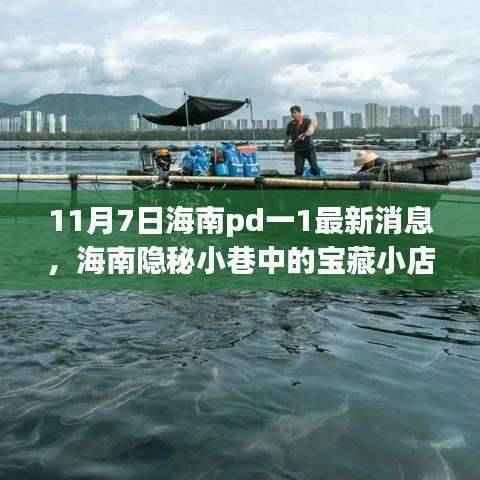 海南隐秘小巷宝藏小店探秘之旅,PD一1最新消息(11月7日更新)
