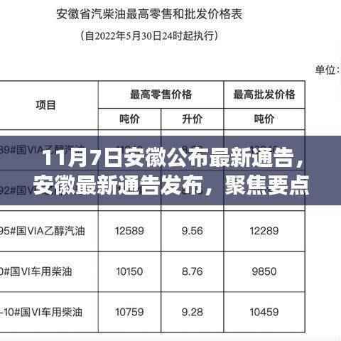 安徽最新通告解读,聚焦要点分析(附详细解读)