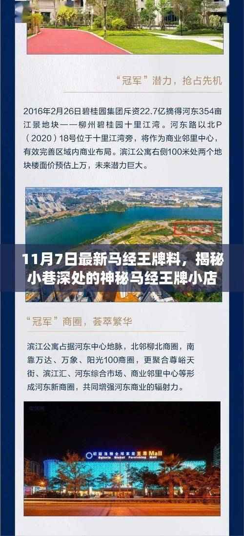 揭秘神秘马经王牌小店,美食冒险的不期而遇之旅(11月7日最新资讯)