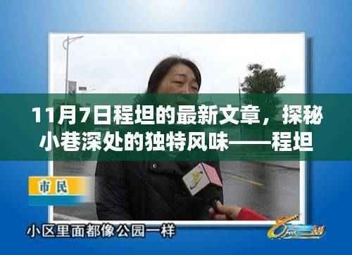 程坦独家揭秘，小巷深处的独特风味——11月7日程坦文章探秘