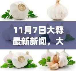 11月7日大蒜最新新闻，探秘自然秘境的味觉之旅