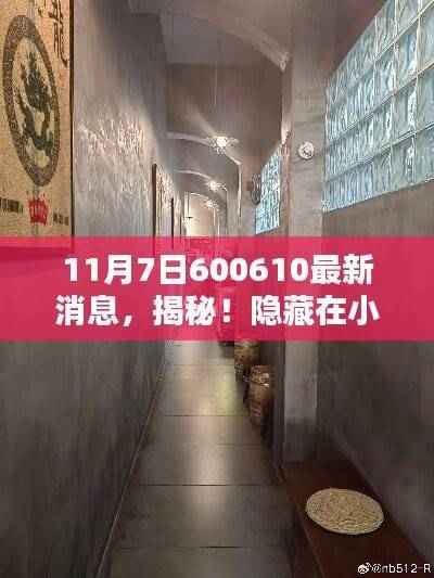 揭秘隐藏小巷深处的独特风味,特色小店神秘面纱下的最新消息(独家报道)