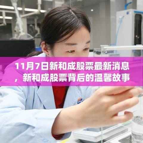 新和成股票最新动态,奇遇日里的友情纽带与背后温馨故事