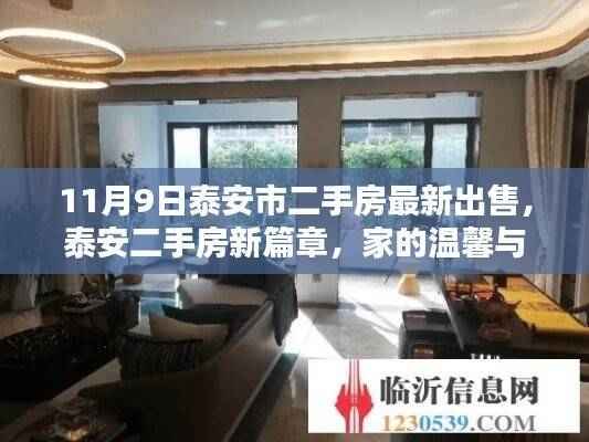 泰安二手房最新出售，家的温馨与友情的邂逅（11月9日更新）