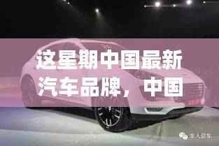 中国最新汽车品牌闪耀全球,成就感的源泉与变革同行力展现新力量
