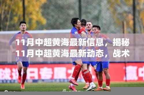 揭秘，中超黄海最新动态与战术调整，球员动态及未来展望（11月最新信息）