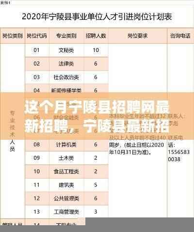 宁陵县最新招聘一网打尽,求职全攻略,适合初学者与进阶者