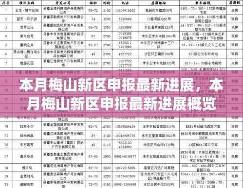 梅山新区申报本月最新进展概览