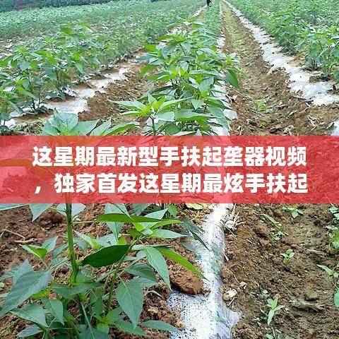 独家首发，最新手扶起垄器视频与操作指南，带你领略极致操作体验