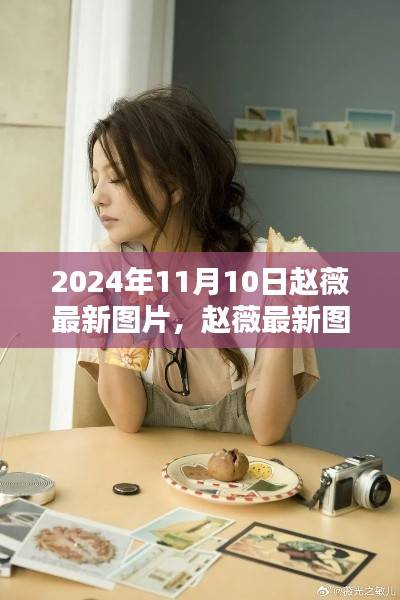 赵薇最新图片收藏指南,2024年11月10日专享攻略与指南