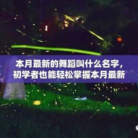 本月最新舞蹈流光舞步学习全攻略,从入门到精通的舞蹈学习指南