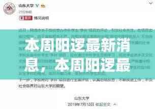 本周阳逻最新动态,多方观点交汇与个人立场阐述