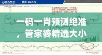 一码一肖预测绝准，管家婆精选大小中特，顶级解析定义_PUR946.75独版