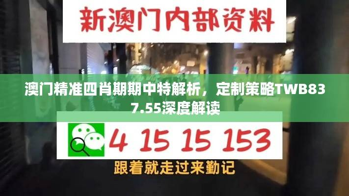 澳门精准四肖期期中特解析,定制策略TWB837.55深度解读