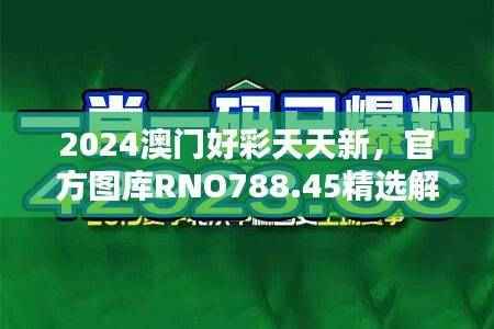 2024澳门好彩天天新，官方图库RNO788.45精选解答