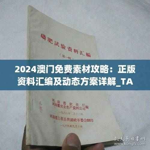2024澳门免费素材攻略:正版资料汇编及动态方案详解_TAZ165.68亲和版