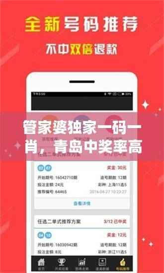 管家婆独家一码一肖，青岛中奖率高达100%，素材方案解析及备用版RPN324.04介绍