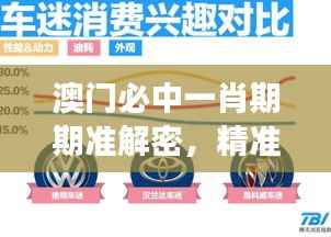 澳门必中一肖期期准解密,精准数据解读版IBX272.93