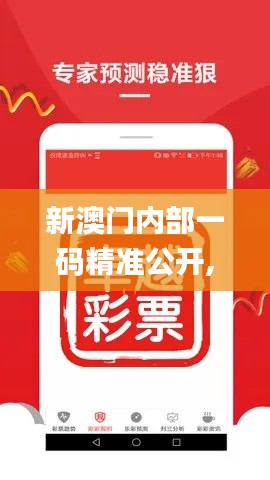 新澳门内部一码精准公开,最新研究解释定义_分神KOY764.71