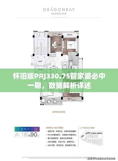 怀旧版PRJ330.75管家婆必中一期,数据解析详述
