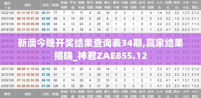 新澳今晚开奖结果查询表34期,赢家结果揭晓_神君ZAE855.12