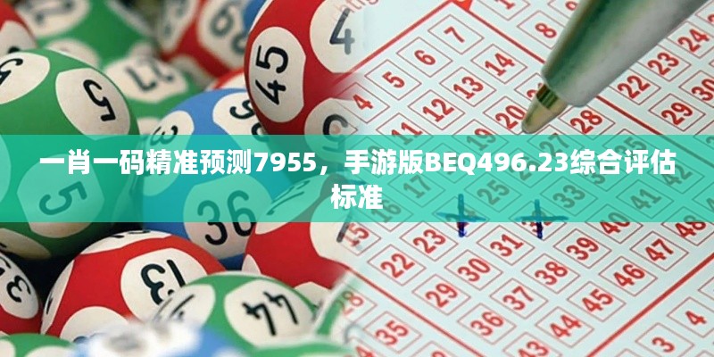 一肖一码精准预测7955,手游版BEQ496.23综合评估标准