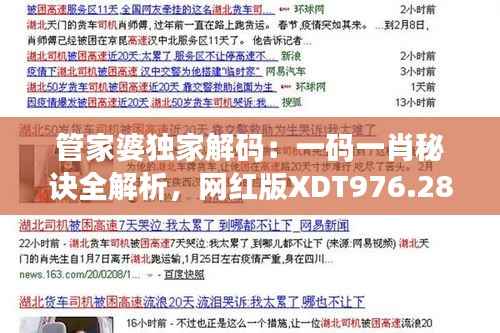 管家婆独家解码:一码一肖秘诀全解析,网红版XDT976.28安全攻略