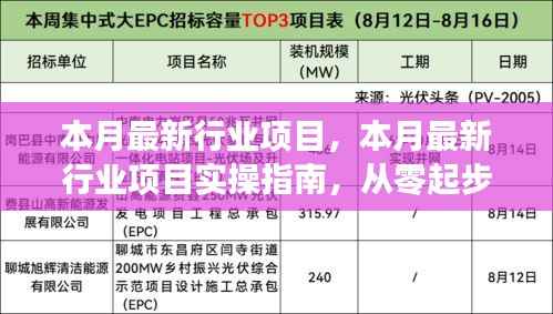 本月最新行业项目实操指南,零基础完成行业项目任务