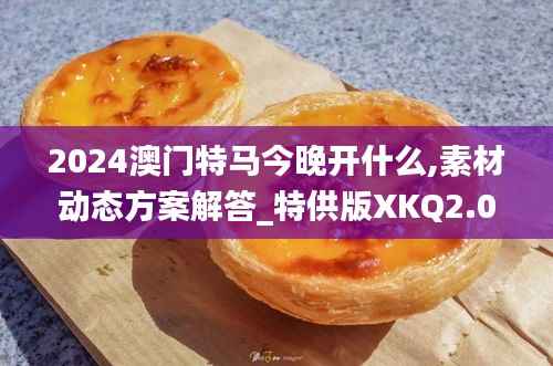 2024澳门特马今晚开什么,素材动态方案解答_特供版XKQ2.05