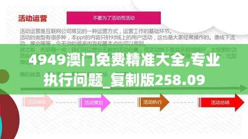 4949澳门免费精准大全,专业执行问题_复制版258.09
