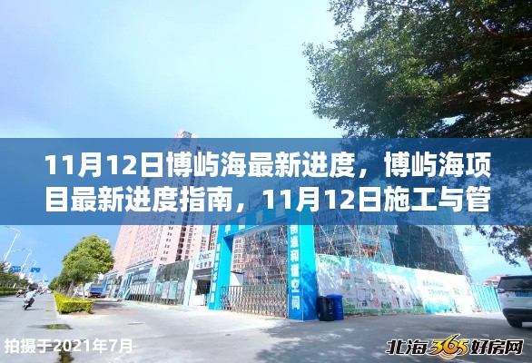 11月12日博屿海项目最新进度报告,施工与管理详解指南
