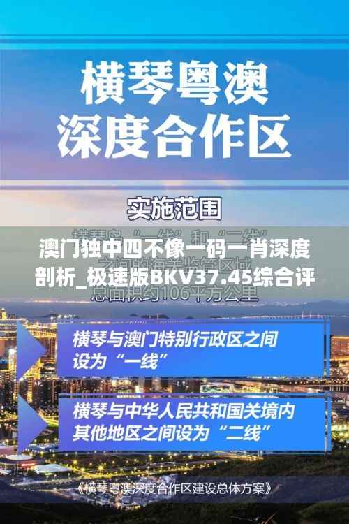 澳门独中四不像一码一肖深度剖析_极速版BKV37.45综合评估