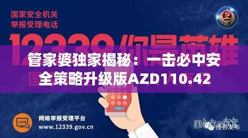 管家婆独家揭秘：一击必中安全策略升级版AZD110.42