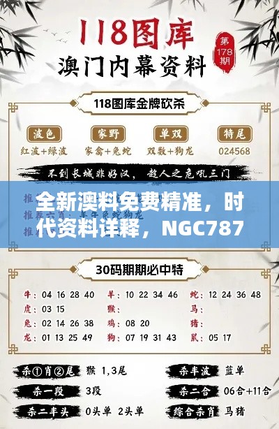 全新澳料免费精准,时代资料详释,NGC787.94完整资料包