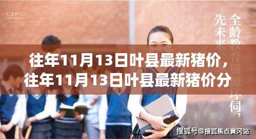 往年11月13日叶县猪价动态，分析与展望最新市场趋势