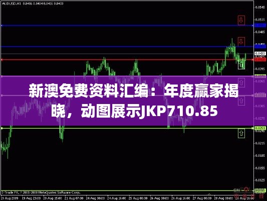 新澳免费资料汇编:年度赢家揭晓,动图展示JKP710.85