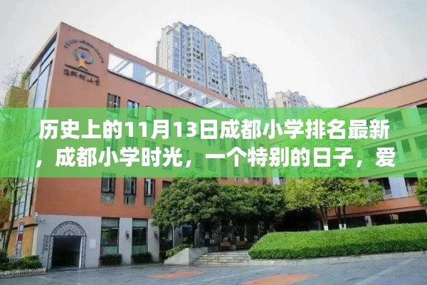 成都小学时光,历史排名背后的爱与陪伴温馨故事(11月13日最新)