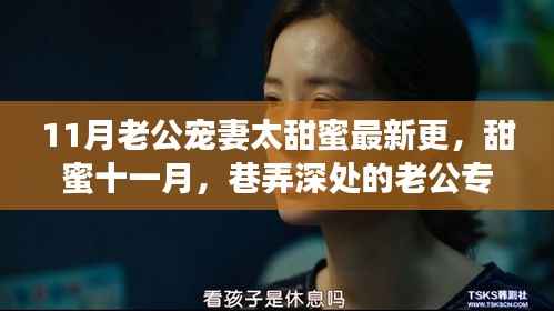 甜蜜十一月，老公专属宠妻秘密基地的甜蜜故事更新