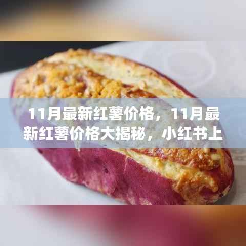 11月最新红薯价格揭秘,热门食材小红书行情一览