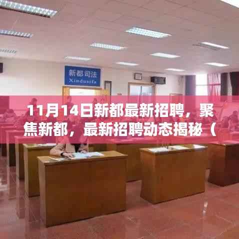 聚焦新都,最新招聘动态揭秘(11月14日版)