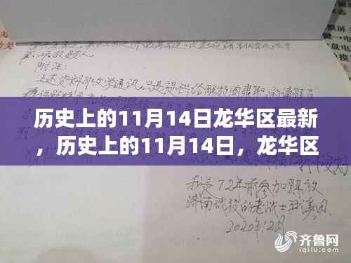历史上的11月14日,龙华区最新进展全面评测与回顾