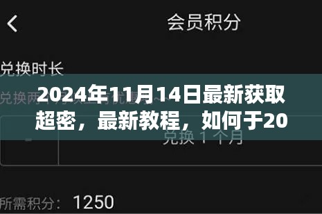 2024年11月14日获取超密全攻略,从初学者到进阶用户的指南