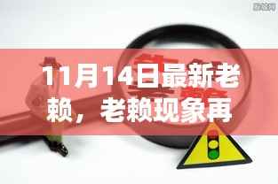 11月14日新视角,老赖现象再观察与深度剖析