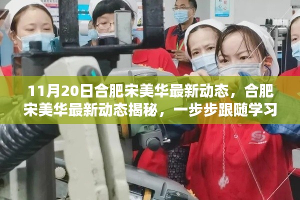 合肥宋美华最新动态揭秘,跟随学习新技能的步伐(11月20日更新)