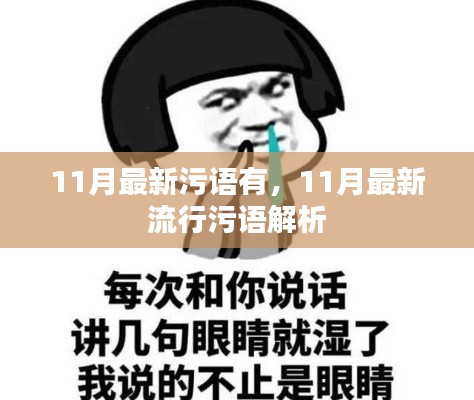 11月最新流行污语解析,热门污语一网打尽