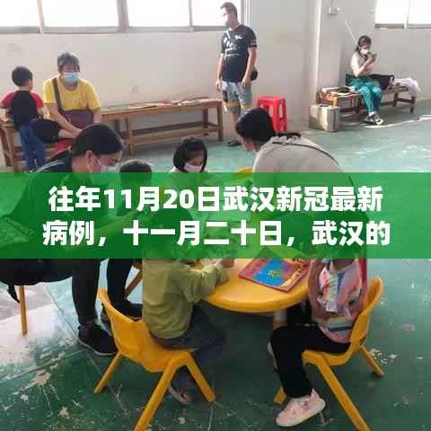 武汉暖心抗疫日常,十一月二十日的新冠病例回顾