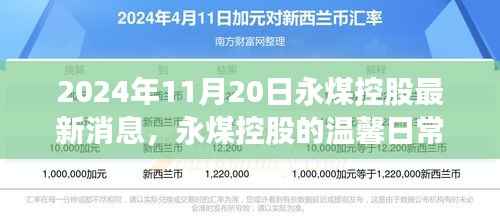 永煤控股的最新动态，温馨日常与奇遇的情感纽带纪事（2024年11月20日）