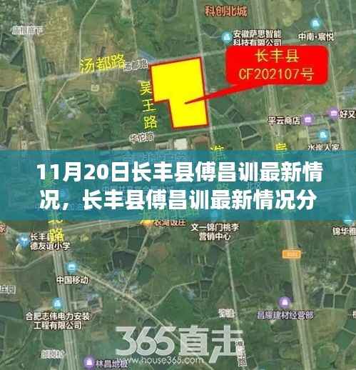 长丰县傅昌训最新情况分析,正反观点与个人立场聚焦